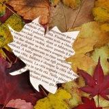 🍂 Листья в кармане 🍃📖 Звучащее слово☘️