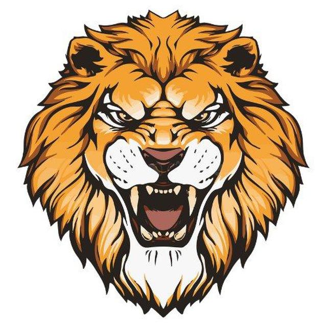 Hablemos de Excelencia 🦁