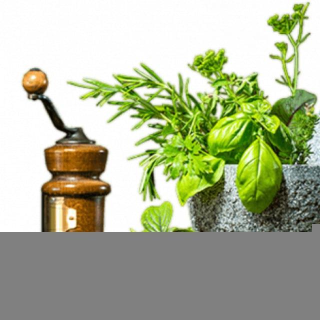 Clean Body Essentials