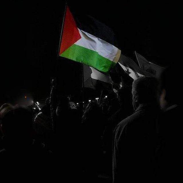 نُِثَار الشَّادي