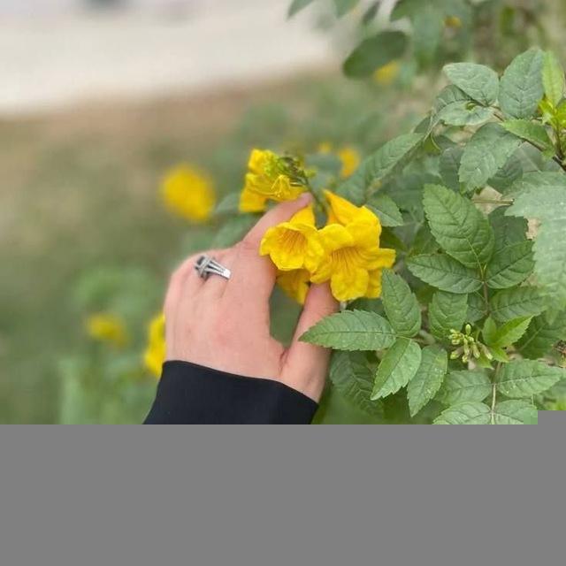 أُنْسٌ.