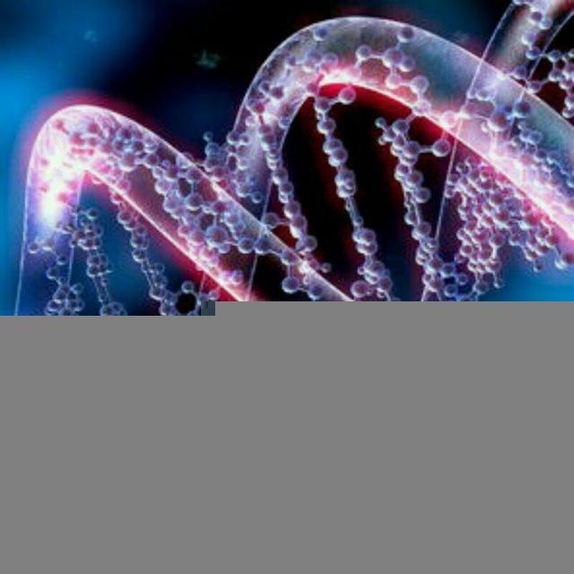 CSIR NET LIFE SCIENCE
