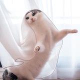 喵星人樂園 🐈🐾
