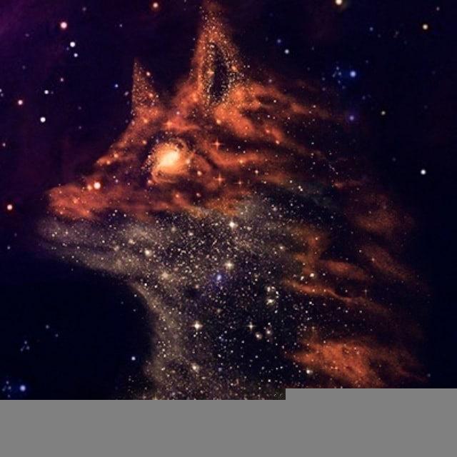 Звездный лис
