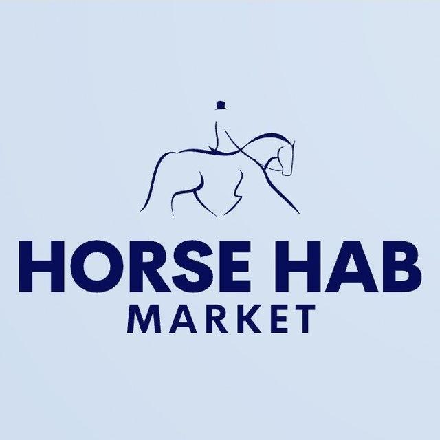 Horse for sale UA