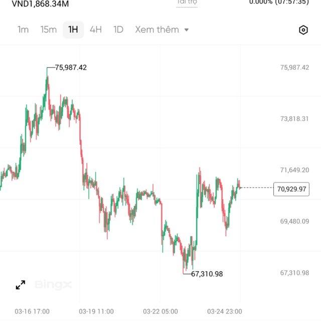 Trade Future - Bingx