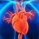 Cardiology USMLE STEP 1 Videos & qbank 2026