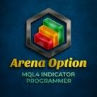 Arena option