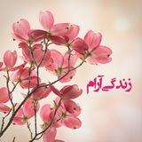زندگی آرام