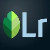 Lightroom and Snapseed presets