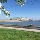 На гэсе обсуждают