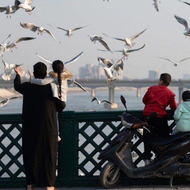 بَغداديات 🌴