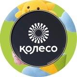 Детский Театр-Студия «Колесо»