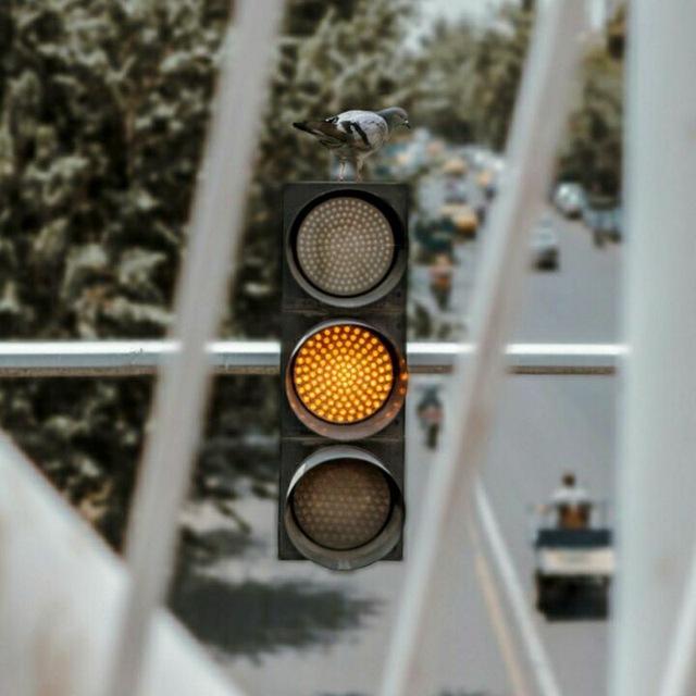 شيلات بدايه قناة أغاني البوم دبكات لبنان مظاهرات بيروت الشعب اللبناني بنات بنت مزز حلوه حلوات شباب رقص رقاصات لبس قصير العراق
