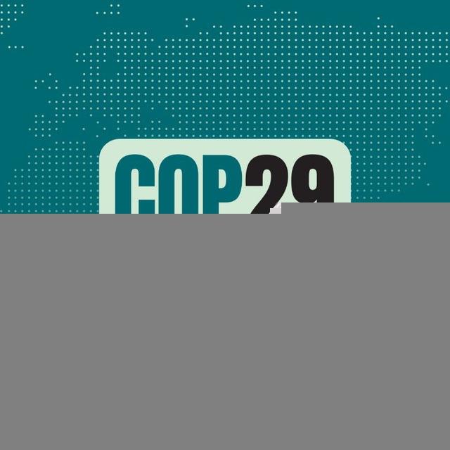 COP29 News