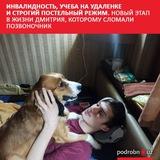 Дело Димы Саттарова