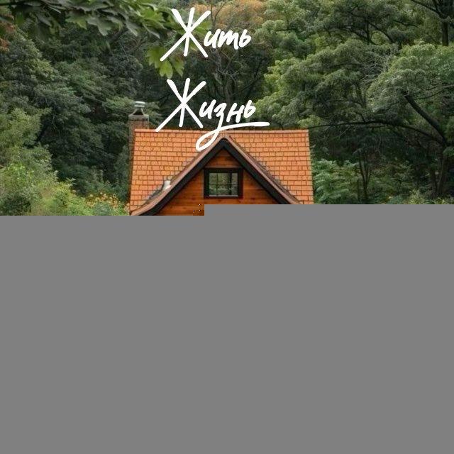 Жить жизнь