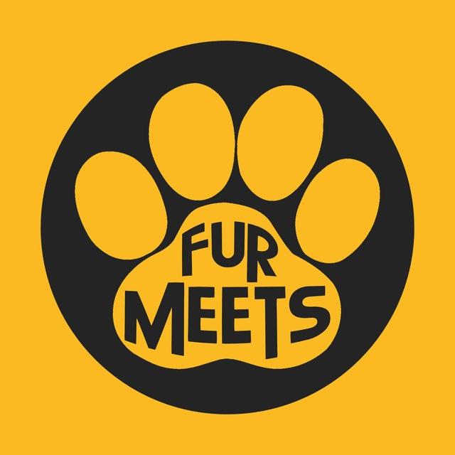 Furmeets Latinoamérica