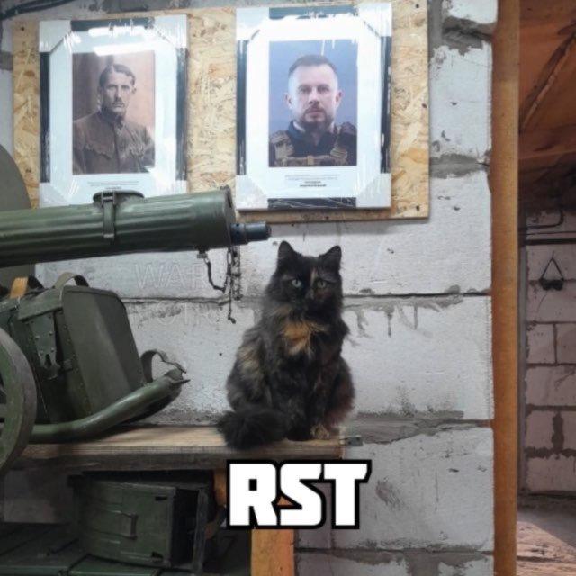 RST