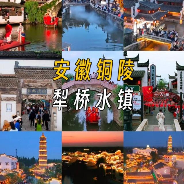 铜陵报告榜