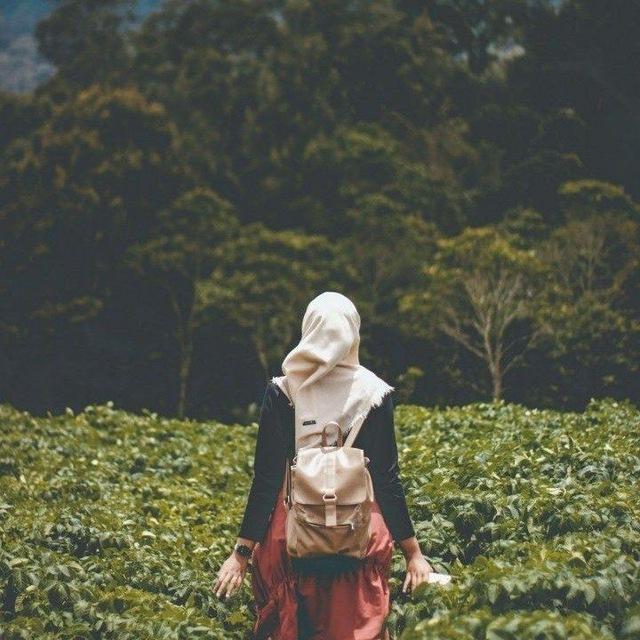 نَـــســـتـــوه 🌱