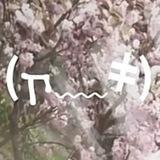 ♤♤♤♤♤