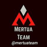 Mertua team