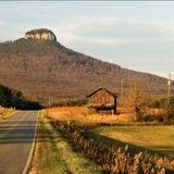 Backyard Homesteading and Self-Sufficiency