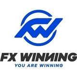 FX News