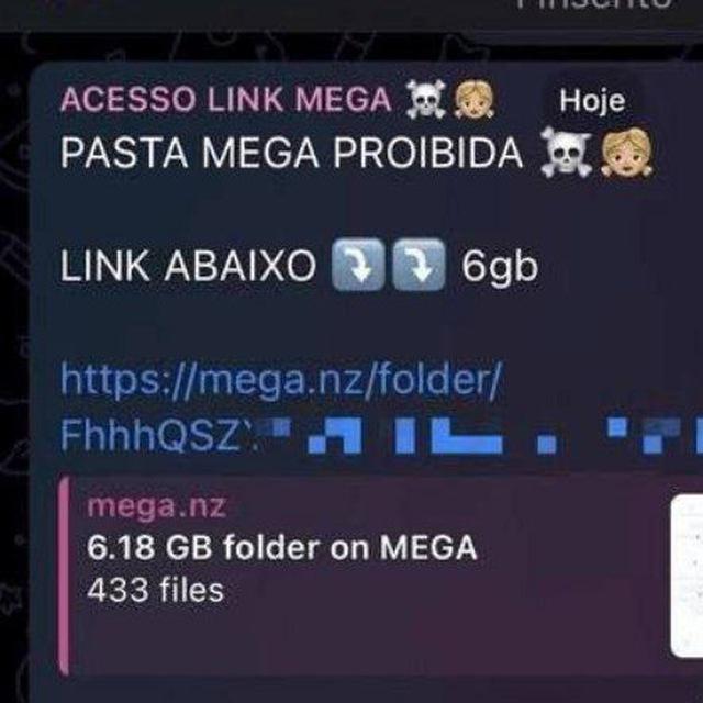 PASTA MEGA+ BRINDES