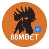 SB/24 បក្សីកីឡា