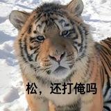 诚信赢天下