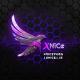 XNiCe