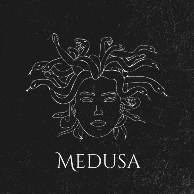 Referências & Avisos | Medusastore
