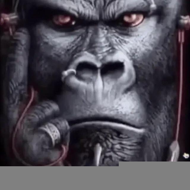 Hakunamatata