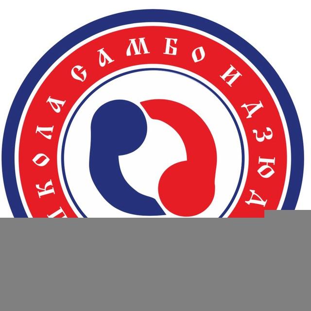 ШКОЛА САМБО И ДЗЮДО