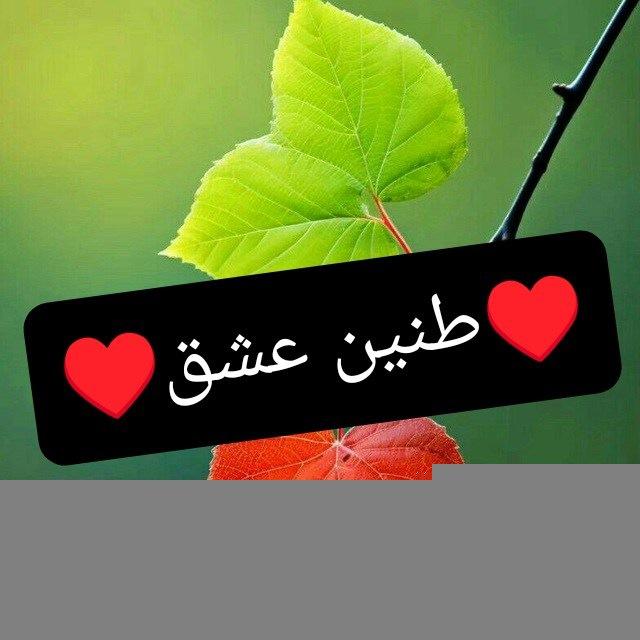 🌻به کانال شعرم دعوتید🌻طنین عشق@t5in3