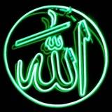 خدایا شکرت