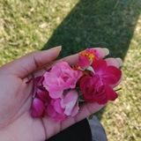 فَاطِمَـة