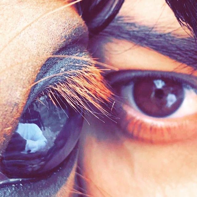 حياة الخيل ..🏇😍
