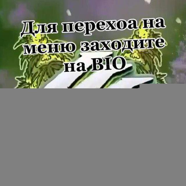 Хайфа