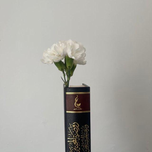 Bücherauszüge