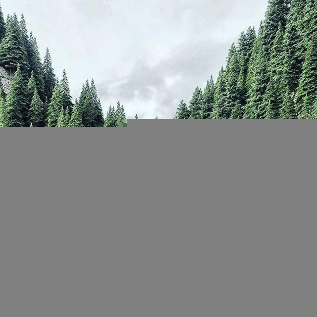 ДСК КМК | Деревообрабатывающее предприятие | г. Елабуга, Республика Татарстан