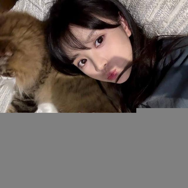 提莫莫的蘑菇屋