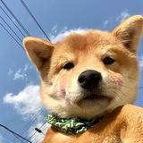 柬埔寨美食娱乐【生活圈】