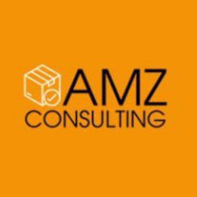 Amz Aged Walmart Etsy eBay Seller Account