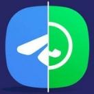 ♻️WHAT'S APP_TELEGRAM_BUY