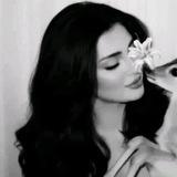 نياف .