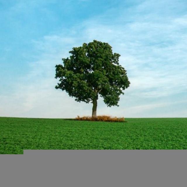 Nature — Travelling & Tourism, Discovery