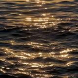 Thalassa